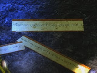 DNA