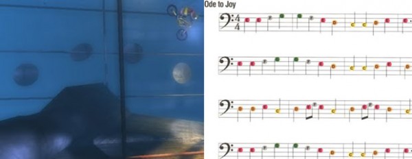 ode to joy