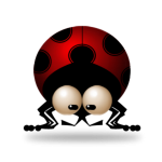 Ladybug