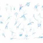 Mosquito Concepts