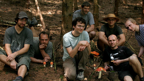 Amanita_Crew_les
